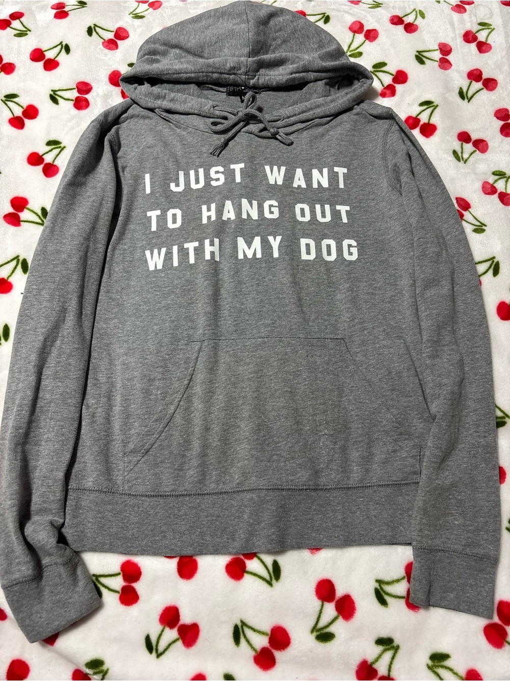 Fifth Sun Gray Hoodie with White Dog Slogan